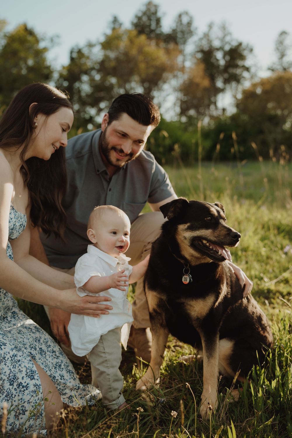 Young family with baby and large dog enjoying outdoor time in a sunny green meadow surrounded by trees.