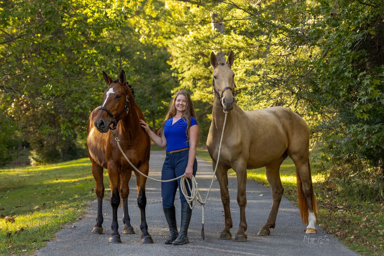 Person in blue leading two beautiful horses down a sunlit woodland path.