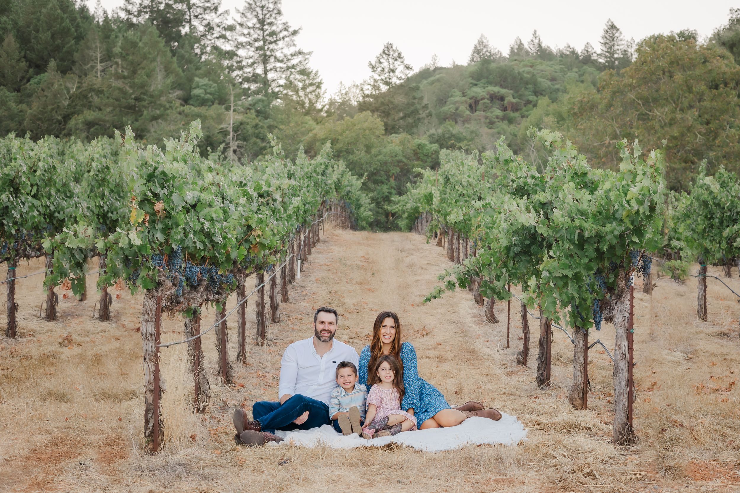 family of four smiling and sitting in a vineyard at sunset in Sonoma County, California at golden hour