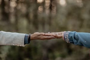 A montage of hands reaching across varying forest backdrops showing connection and unity in nature.