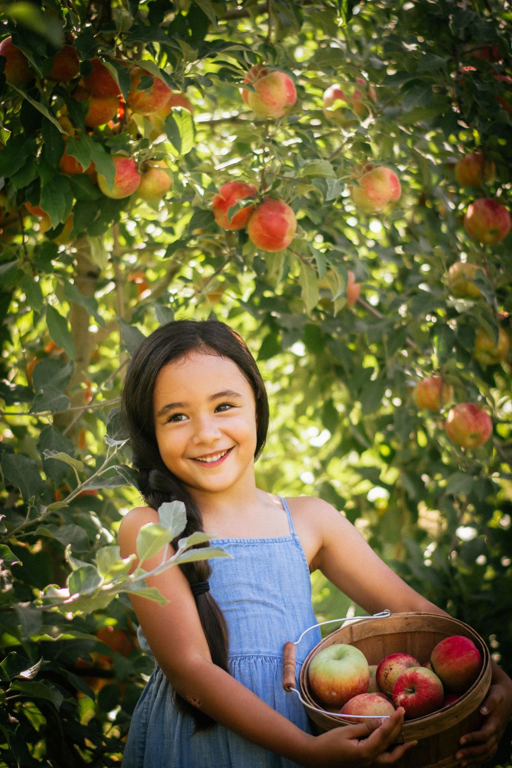 girl holding a basket of apples in an orchard in Kansas City