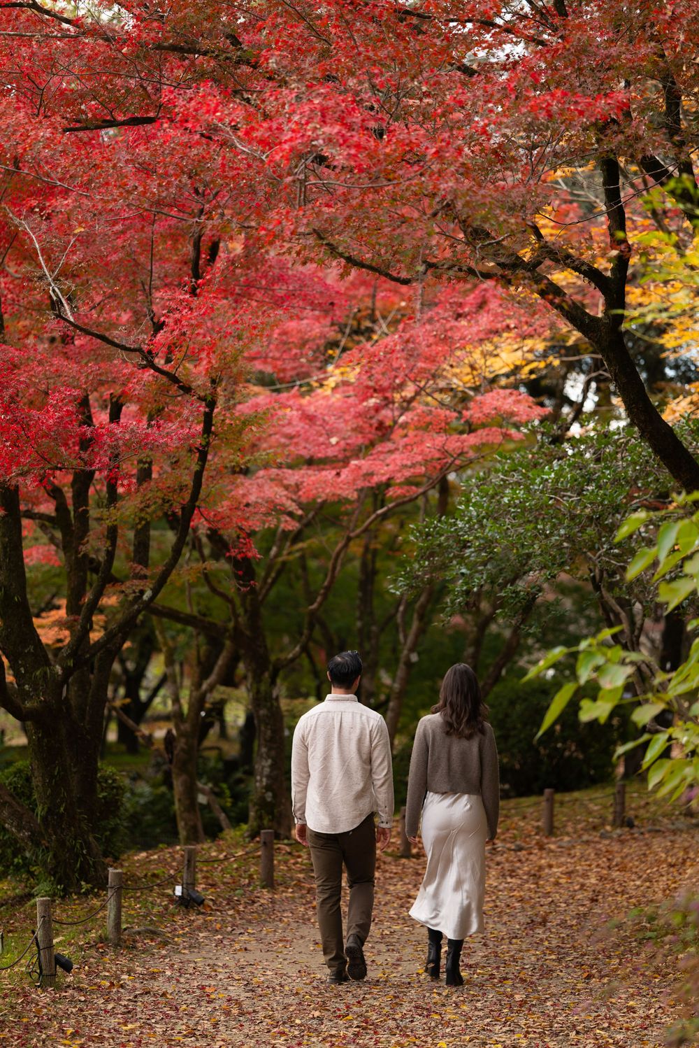 Couple walking hand in hand along a leaf-covered path beneath vibrant red autumn maple trees in a peaceful Japanese garden.