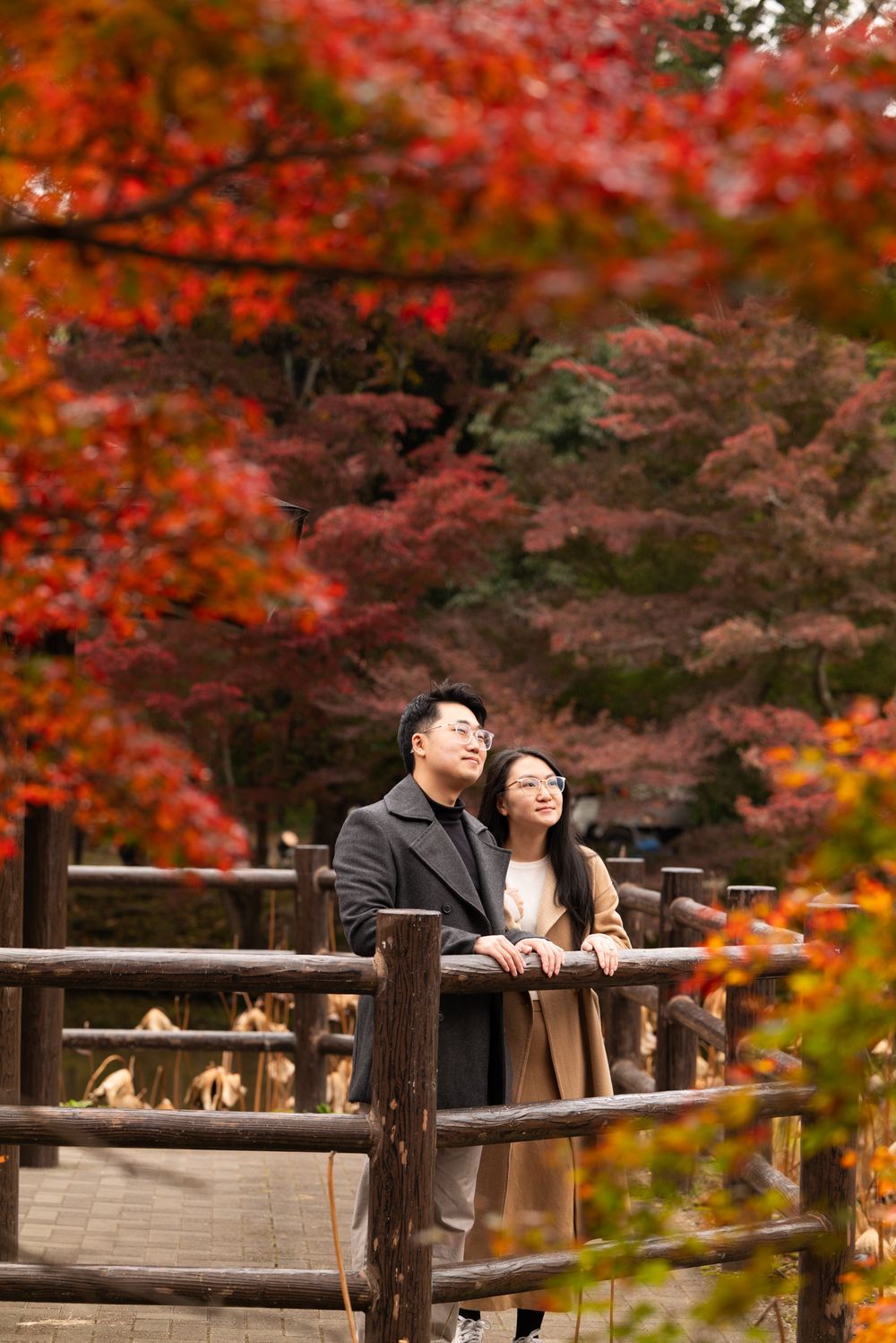 A couple in coats stands close together at a wooden railing, gazing out beneath vibrant red autumn maple leaves.