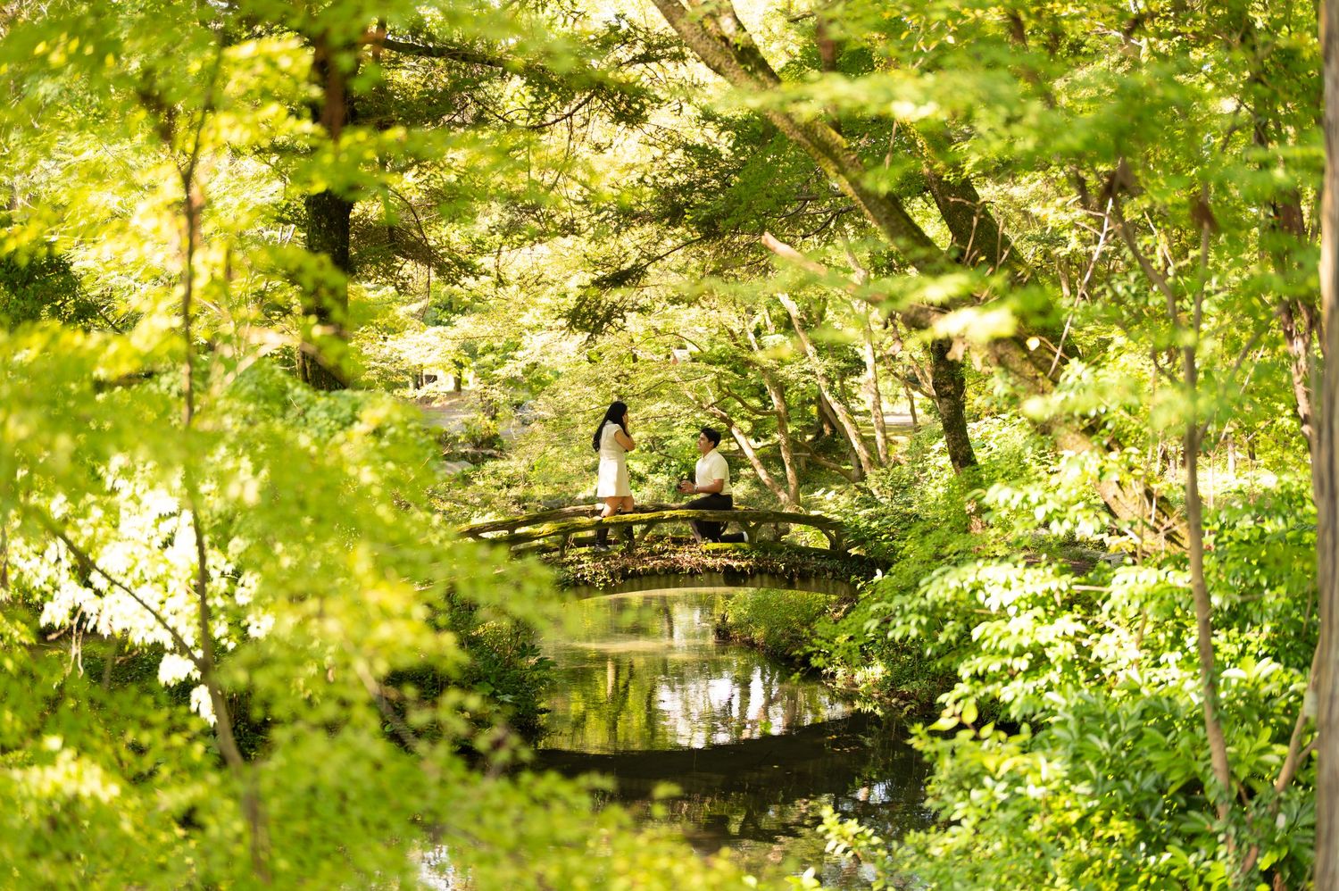 Two people in white and dark clothing stand on an arched wooden bridge over a calm pond in a lush, sunlit Japanese garden.