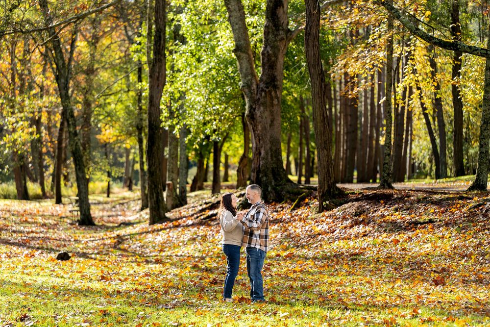 Couple in casual plaid and denim embracing among tall trees in a sunlit autumn park with golden leaves covering the grassy ground.