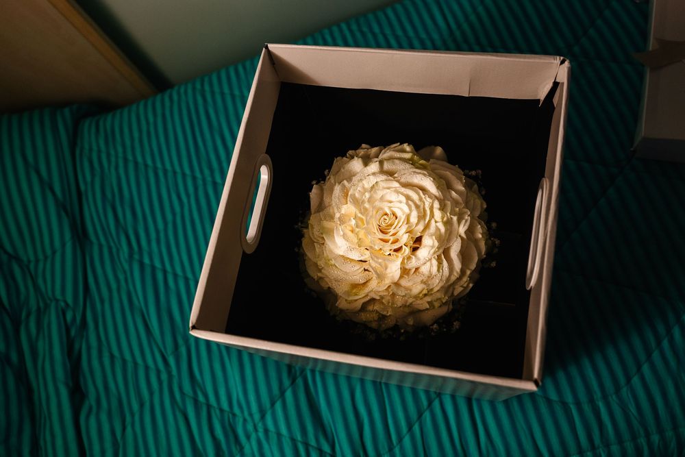 A large cream peony flower displayed in an open white gift box on a teal quilted bedspread.