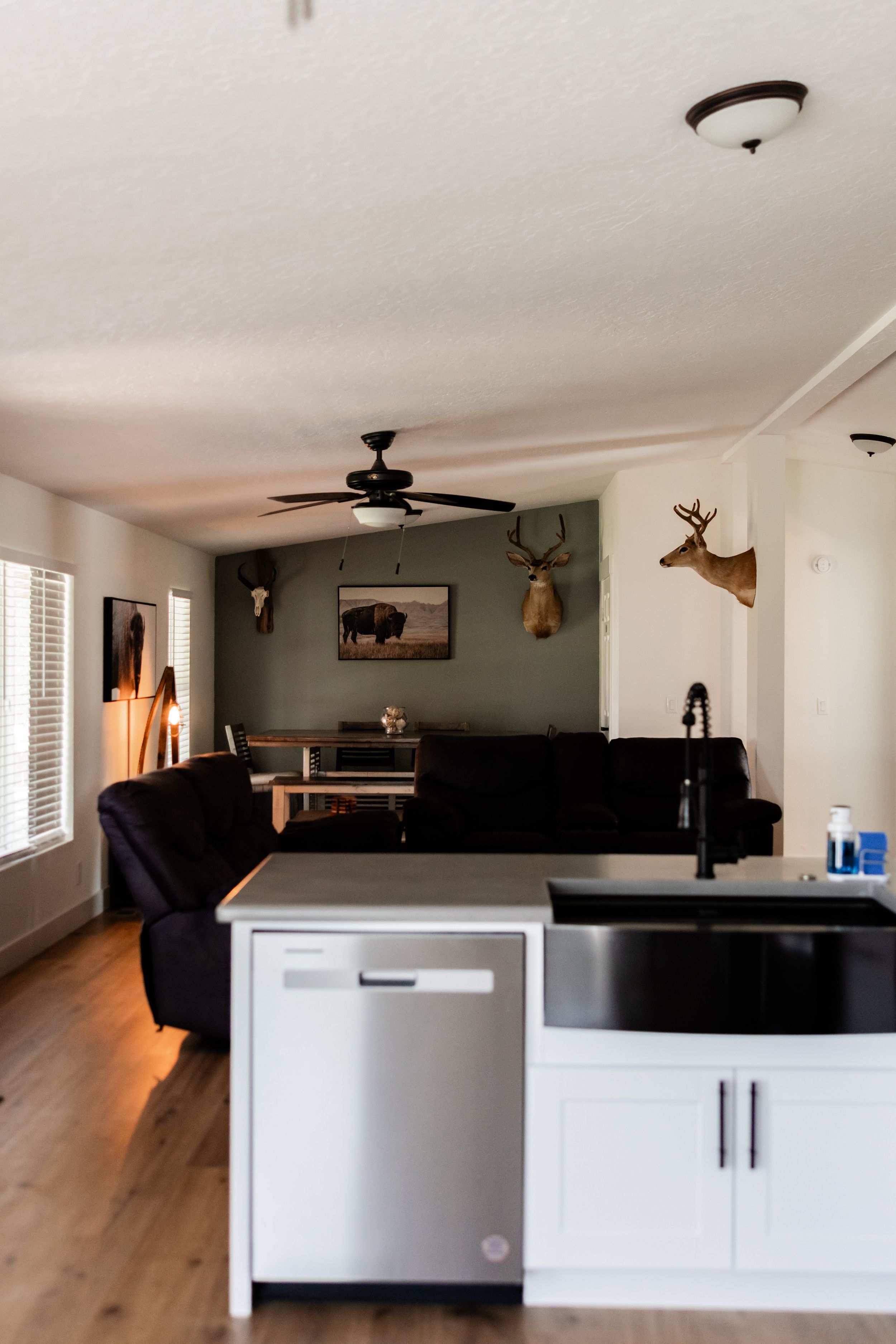 Open-concept kitchen with white cabinets, stainless dishwasher, black sink, and living room featuring deer mount and ceiling fan.