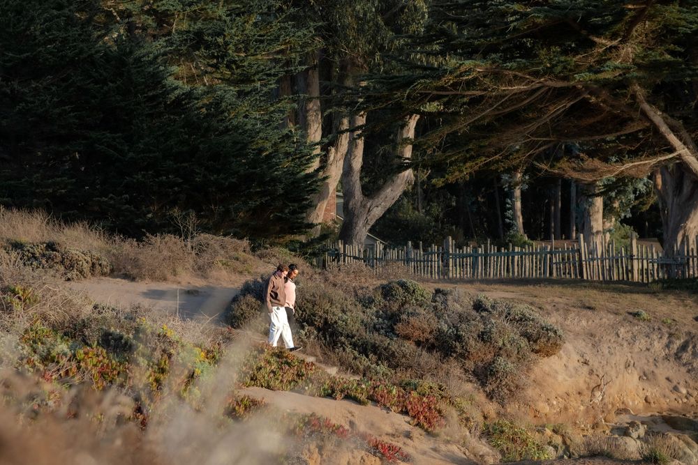 Person in white pants walking along a sandy coastal trail beside tall cypress trees and a wooden fence.