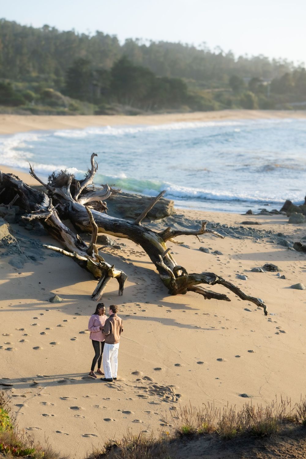 Couple stands together on a sandy beach beside a large driftwood tree trunk, with ocean waves and a forested coastline in the background.