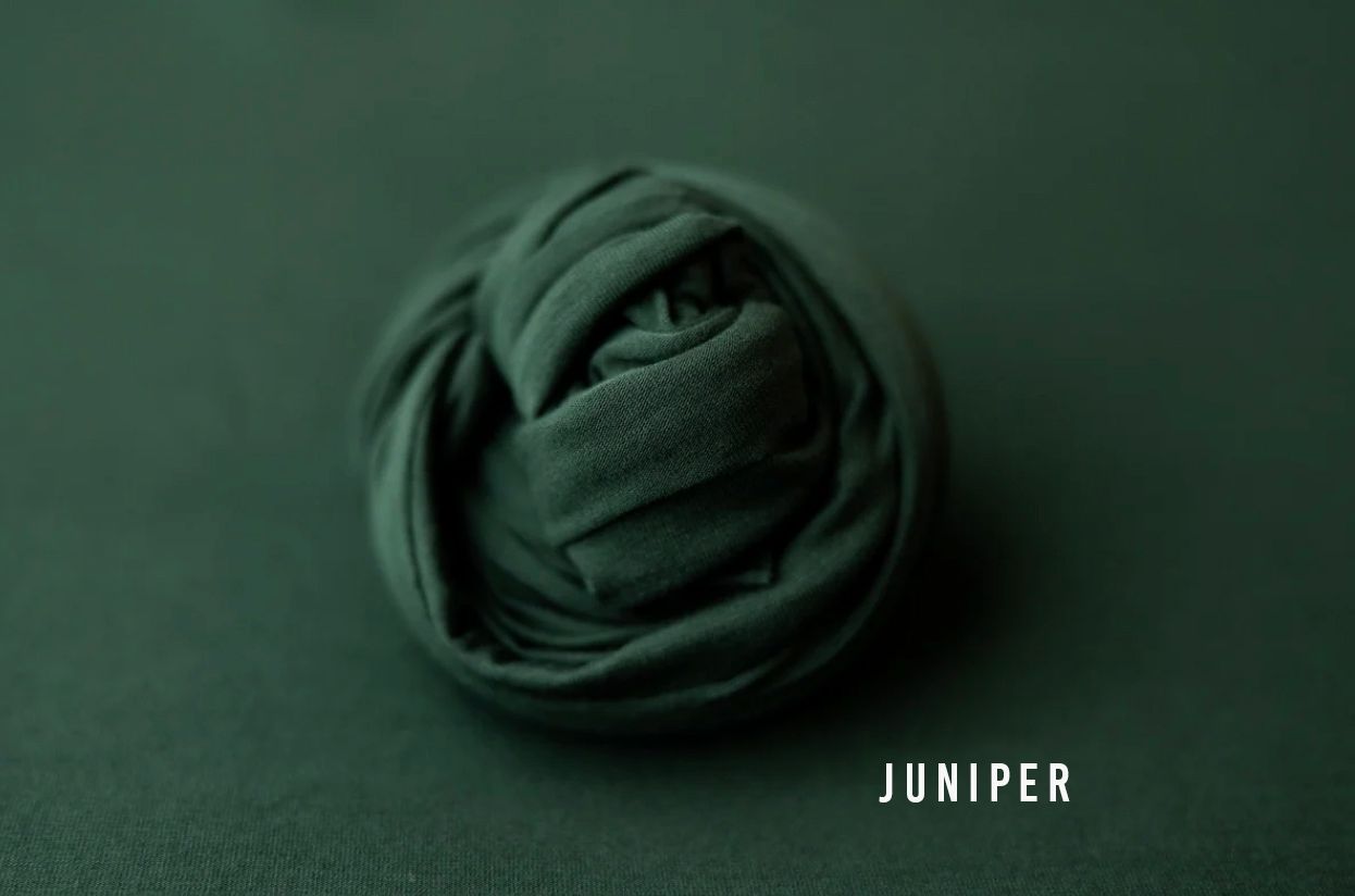 Juniper dark green jersey stretch wrap fabric rolled into a ball for newborn photography props.