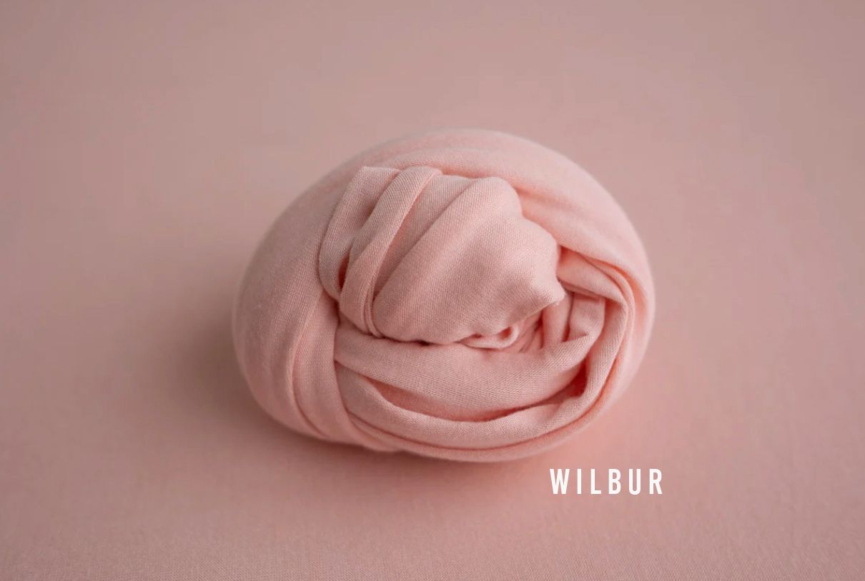 A newborn baby wrapped snugly in a soft pink fabric, labeled Wilbur, on a pink background.