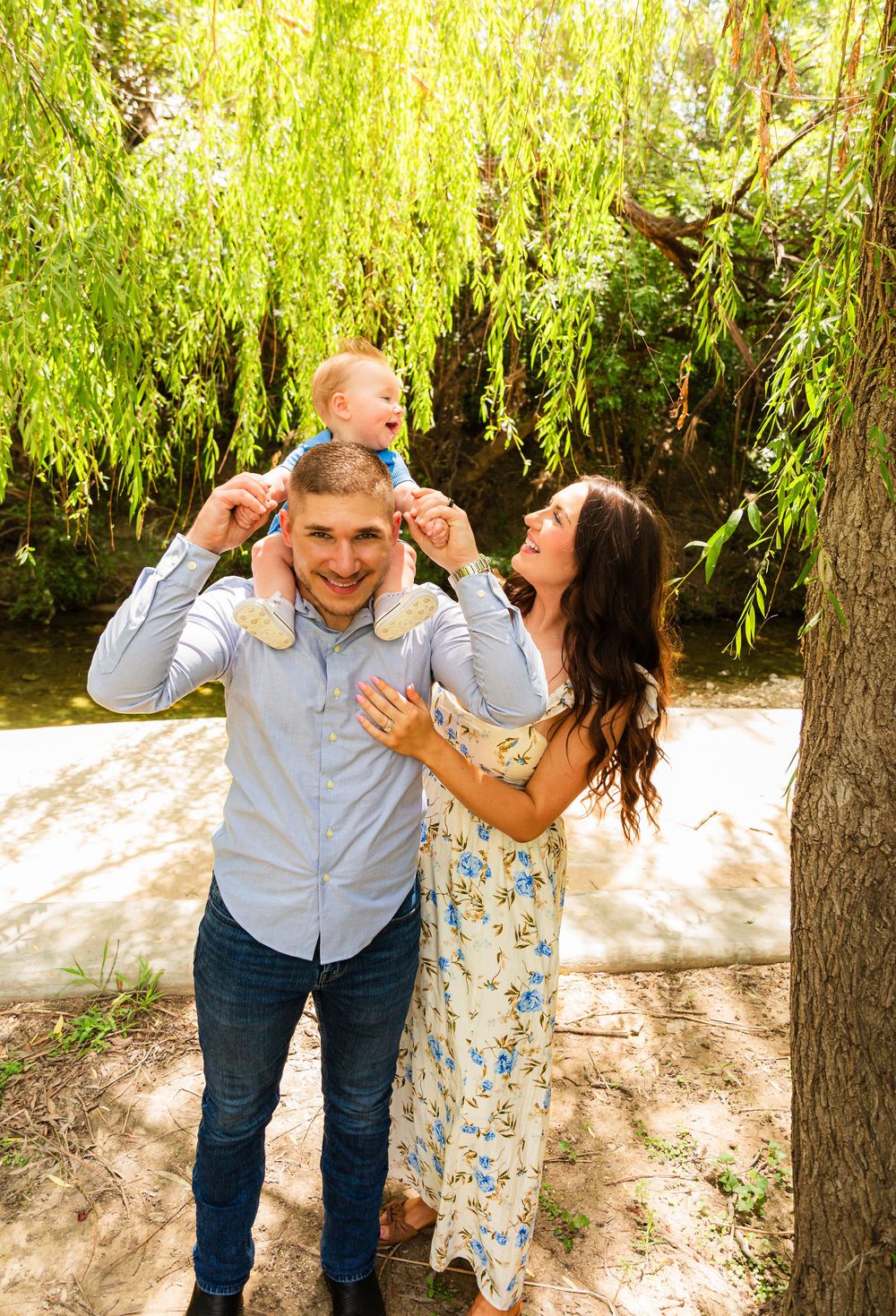 A joyful couple places their baby on dad's shoulders under a sunny weeping willow tree.
