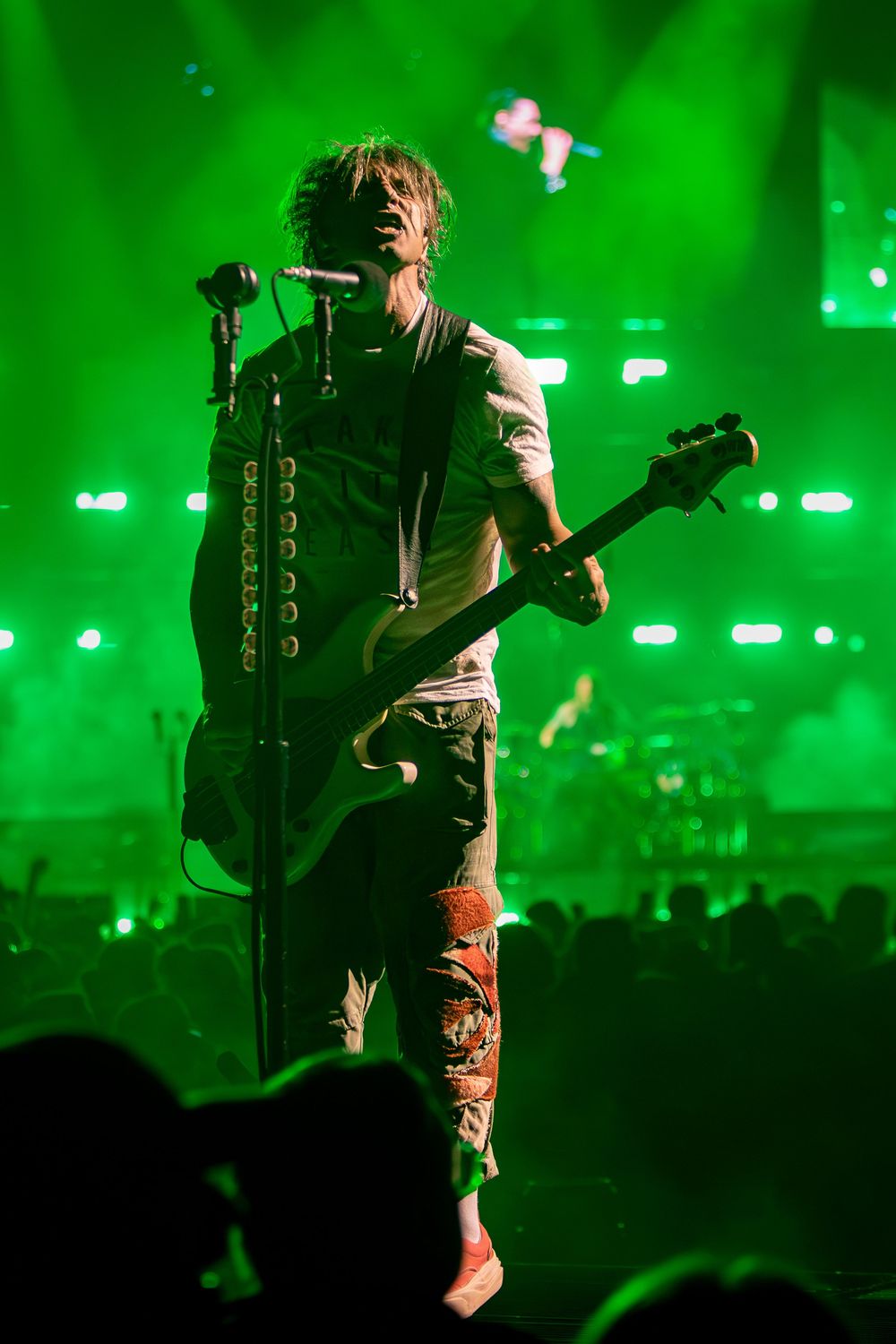 Shinedown