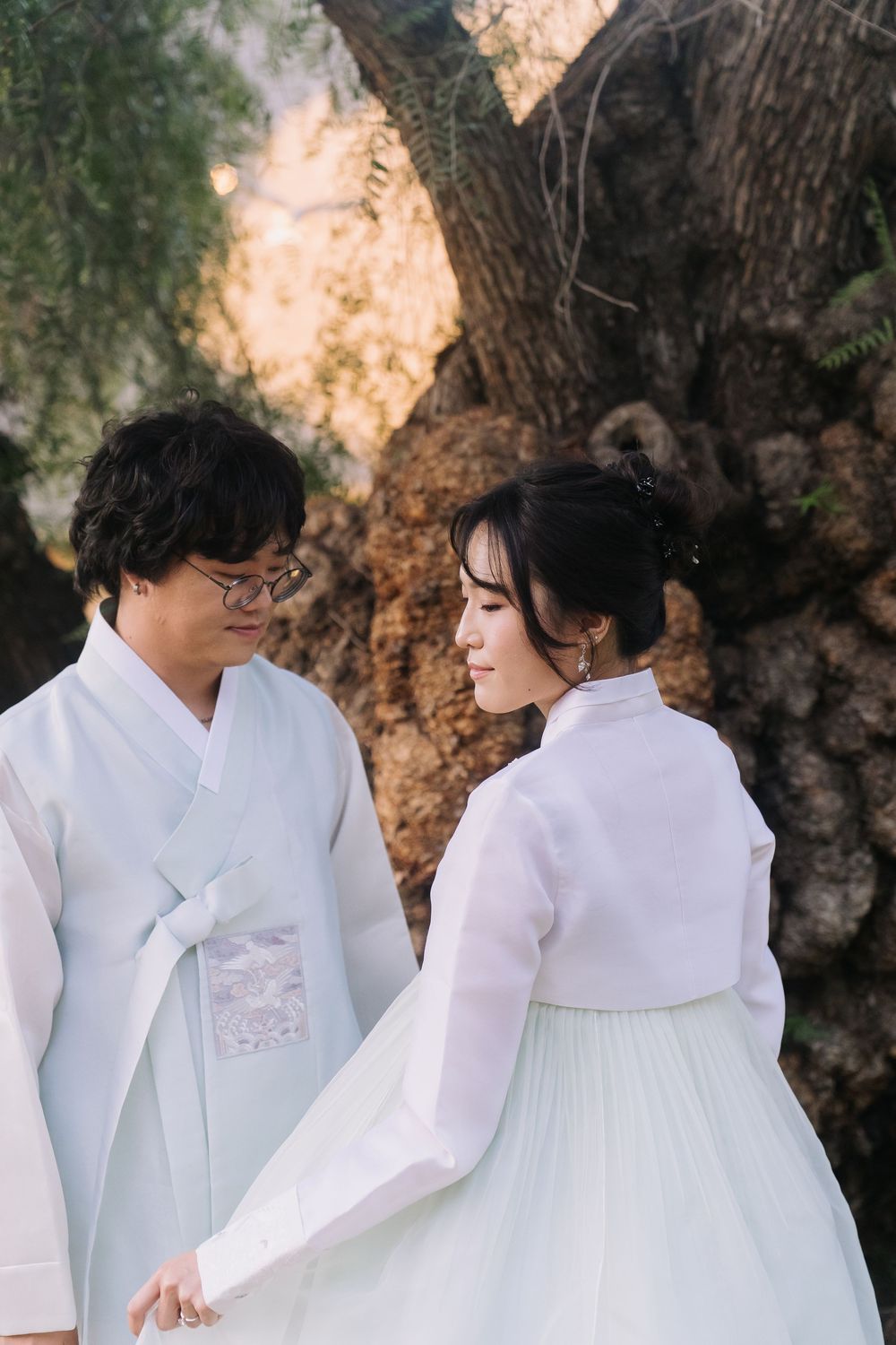 Korean bride and groom in traditional hanbok holding hands and gazing at each other by a large tree.