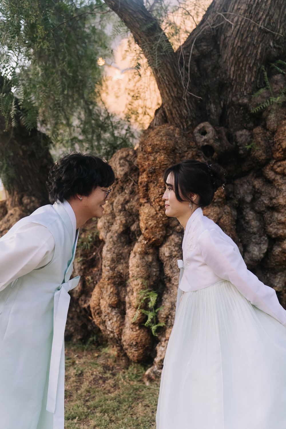 Korean wedding couple in white hanbok facing each other lovingly beside a textured ancient tree trunk.