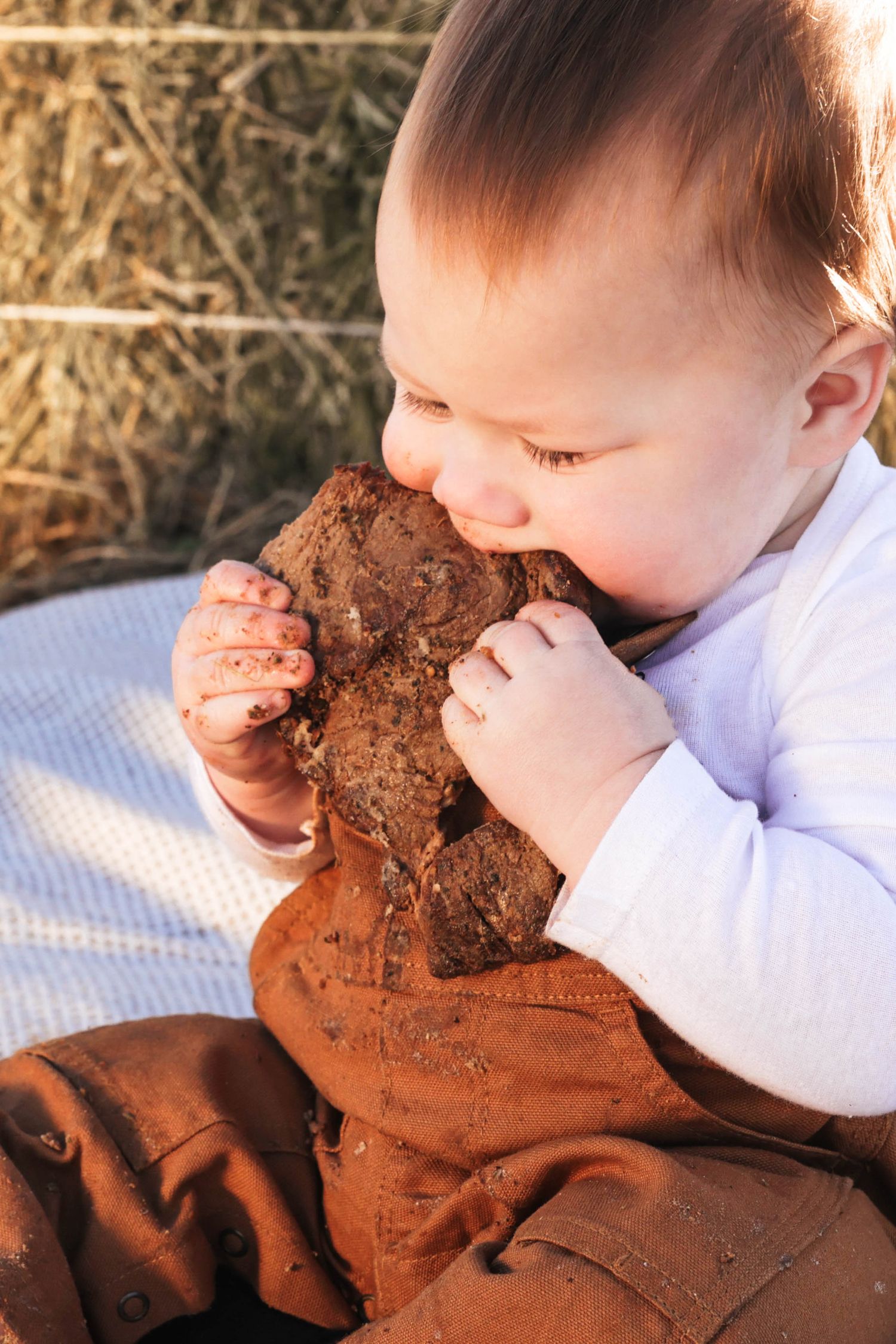 Curious baby in brown pants chewing on a large piece of bark outdoors in natural sunlight.