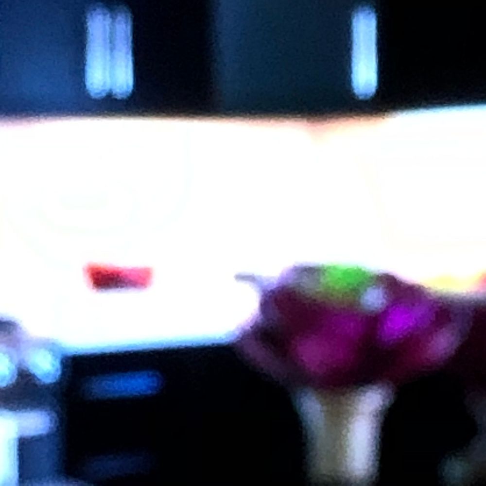 Blurry close-up of colorful flowers in a vase with bright white background lighting.