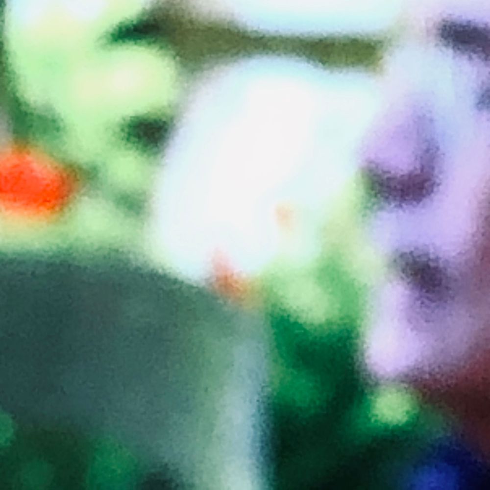 Blurry outdoor scene with green foliage and a purple figure in soft focus.