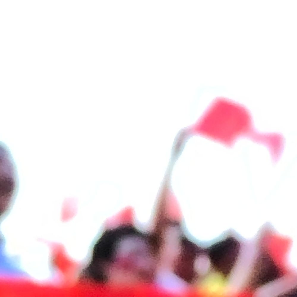 Blurry crowd scene with people waving red flags at an outdoor rally or political event.