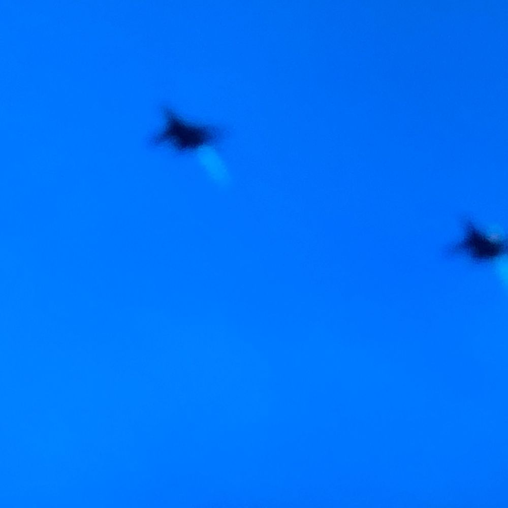 Two dark birds flying against a bright blue sky, captured in a slightly blurred aerial photograph.