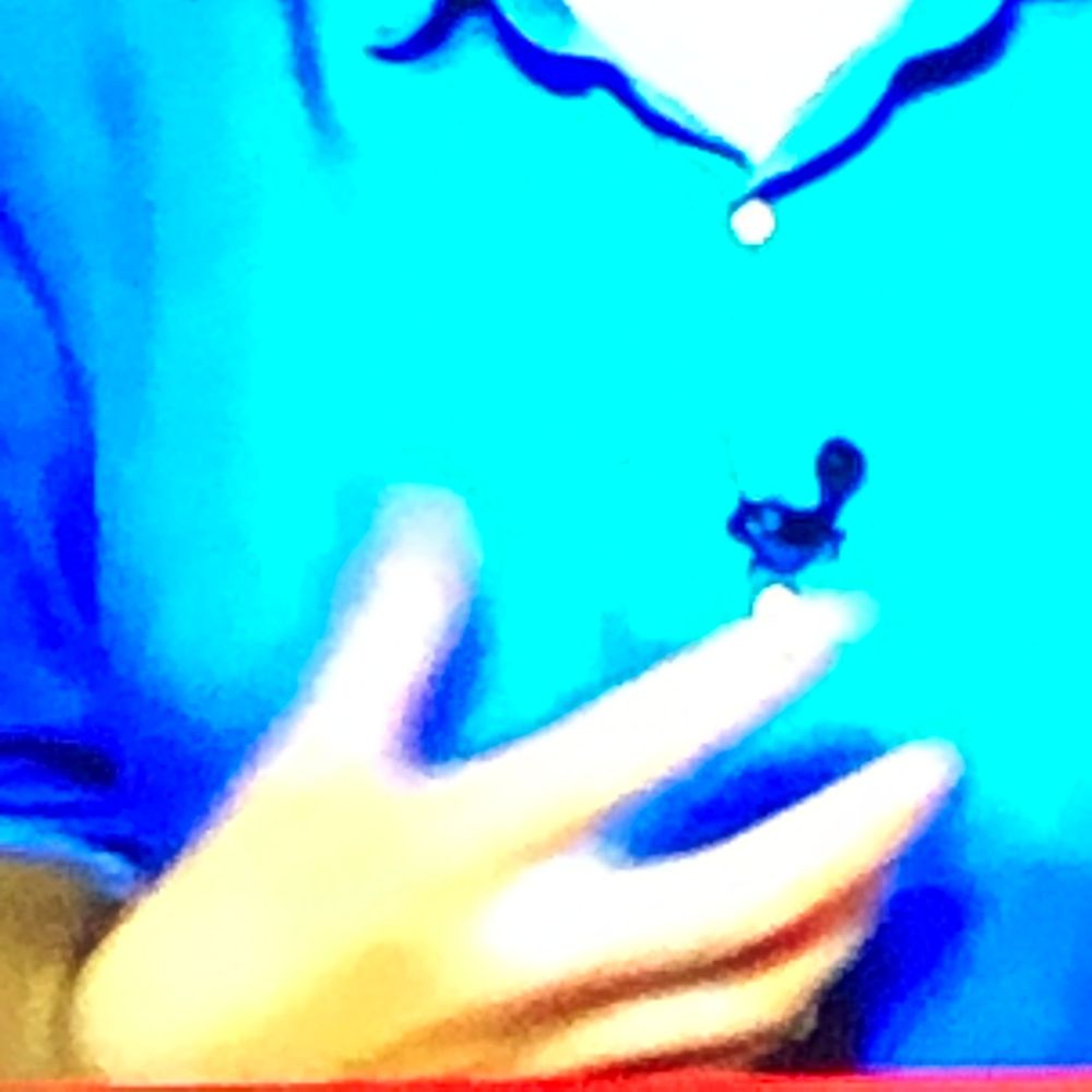 Person in blue polo shirt with lapel microphone gesturing with hand during presentation or interview.