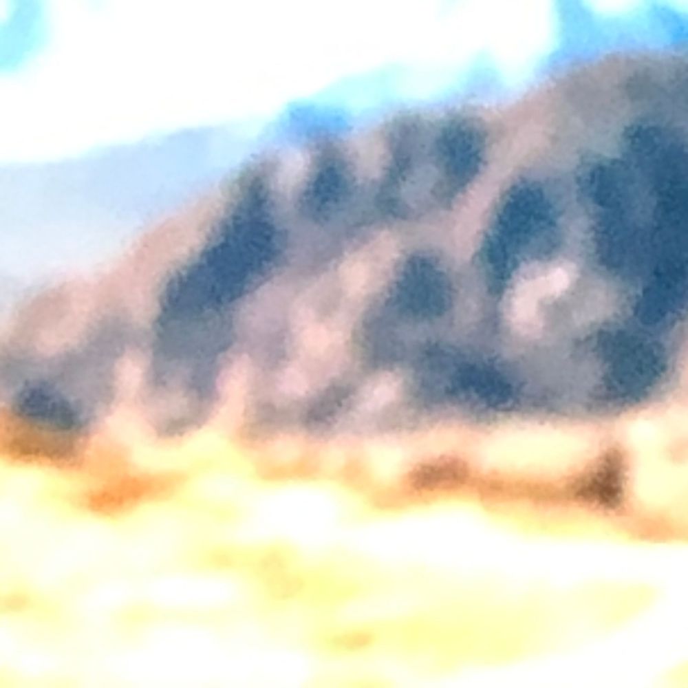 Blurry landscape photo showing a forested hillside with golden dry grass in the foreground under a pale blue sky.