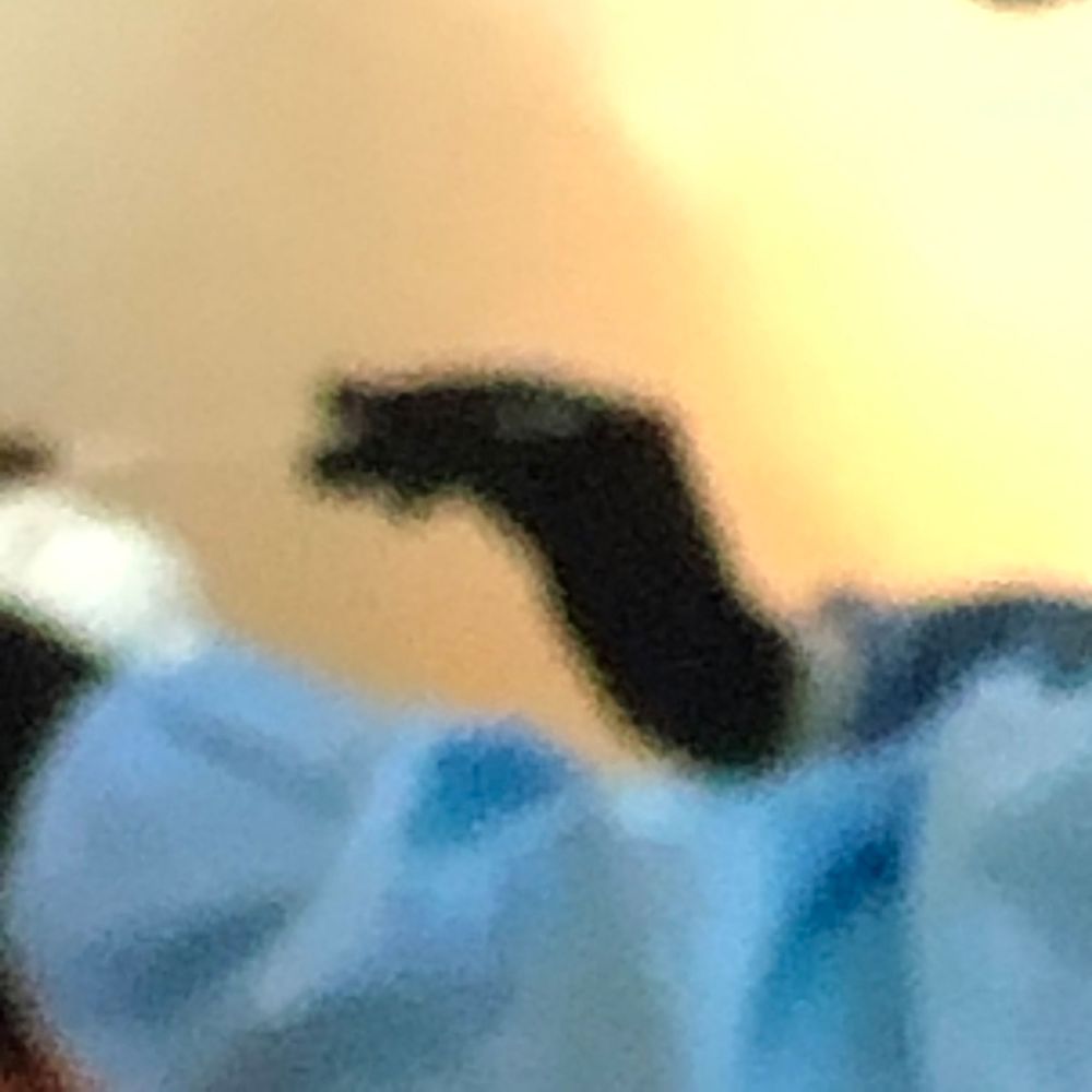 Blurry close-up image showing a dark silhouette shape against a beige wall above blue fabric.