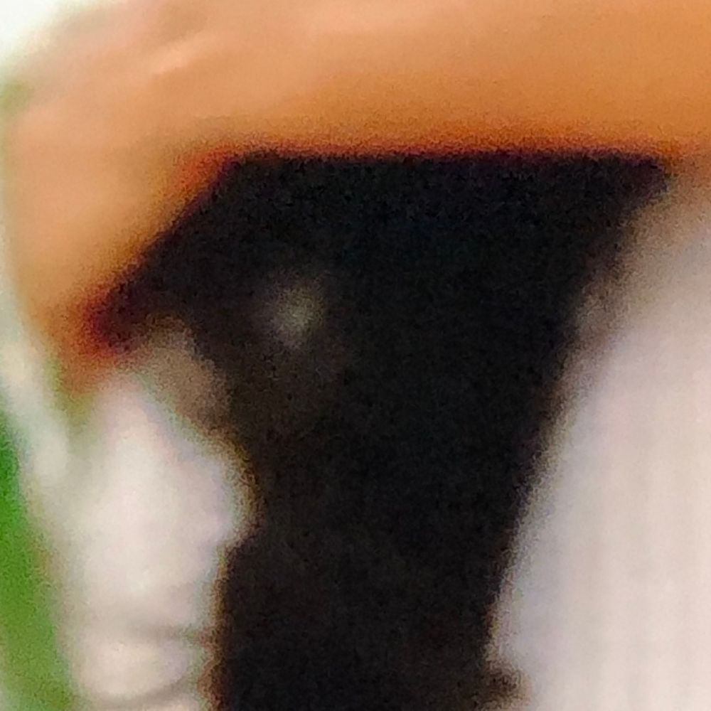 Close-up of a mushroom cap showing dark gills and orange-brown top against a white stem and green background.