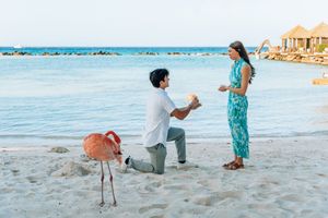 Man proposes on a sandy beach in Aruba with a flamingo nearby, as woman in teal dress looks on near the ocean.