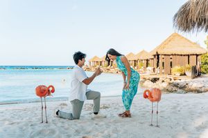 Man proposes to woman on tropical beach with flamingos and thatched bungalows in background.