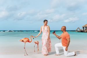 Man proposing to woman on tropical beach with flamingos, turquoise water, and overwater bungalow in background.