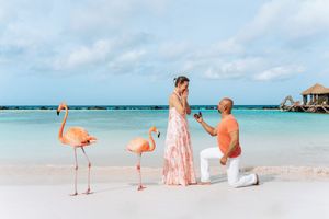 Man proposing to woman on a tropical beach with flamingos nearby, turquoise ocean in the background.
