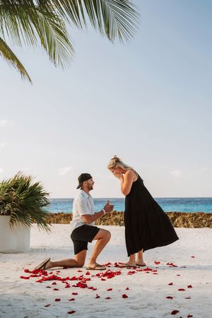 Man proposes on one knee to woman on tropical beach with rose petals scattered on white sand near palm trees.