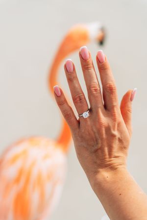 Woman displaying diamond solitaire engagement ring with pink French manicure, flamingo in soft focus background.