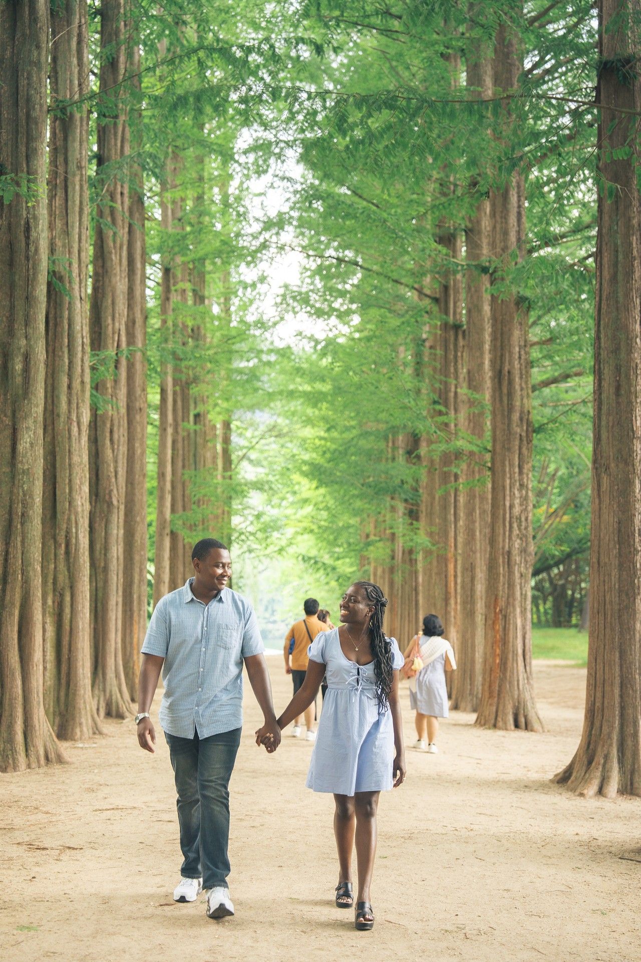 A couple holds hands walking along a tree-lined path in a lush green forest park.
