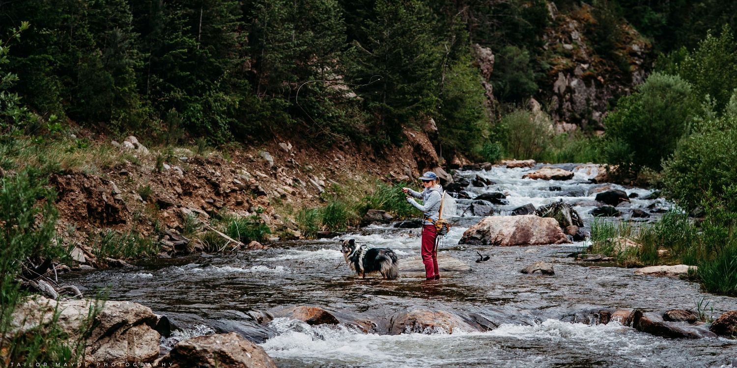 Person fly fishing on rocky mountain stream with dog, surrounded by lush green forest and flowing rapids.