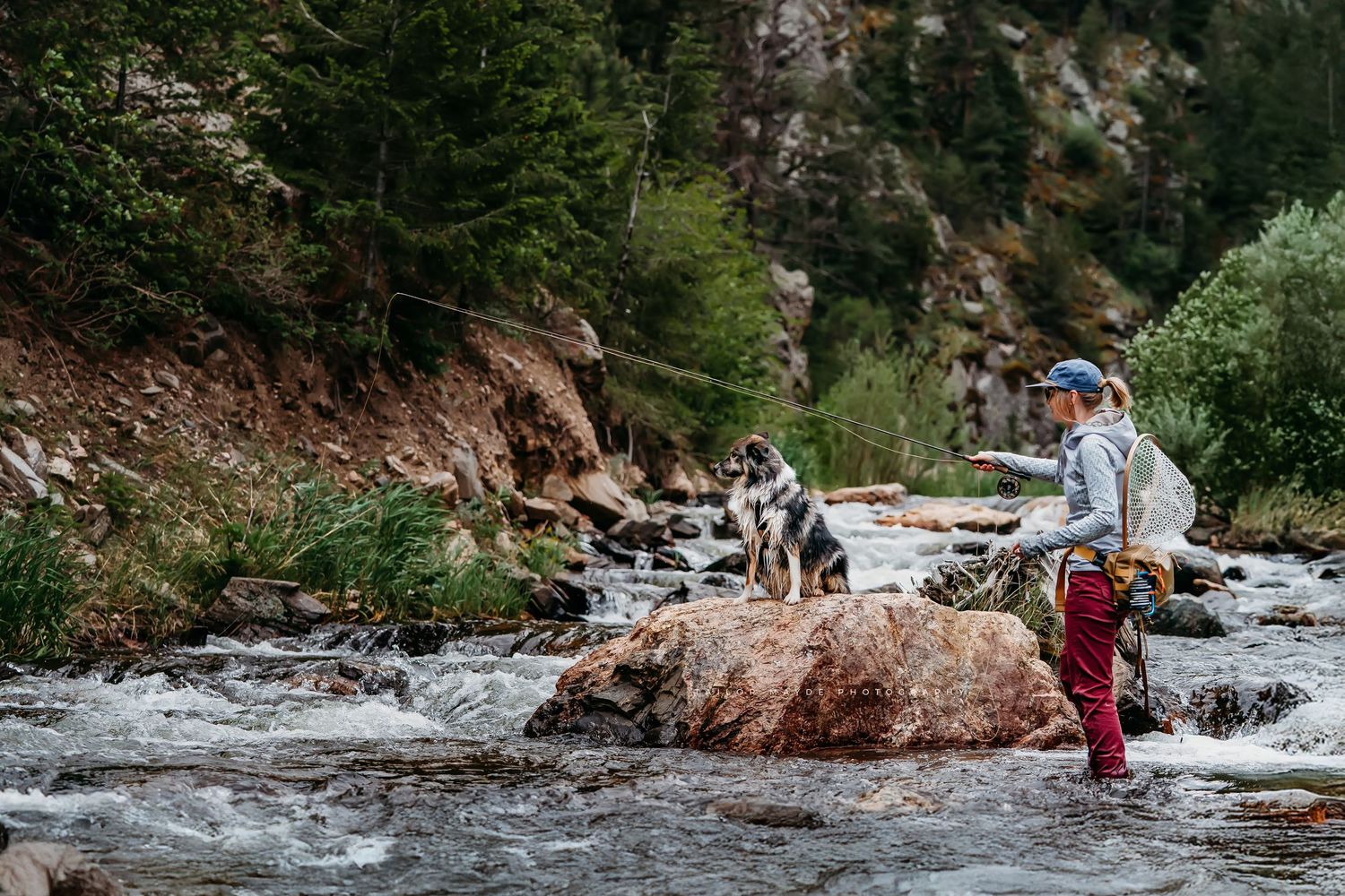 Person and husky dog standing on rocks in a rushing mountain river surrounded by lush forest.