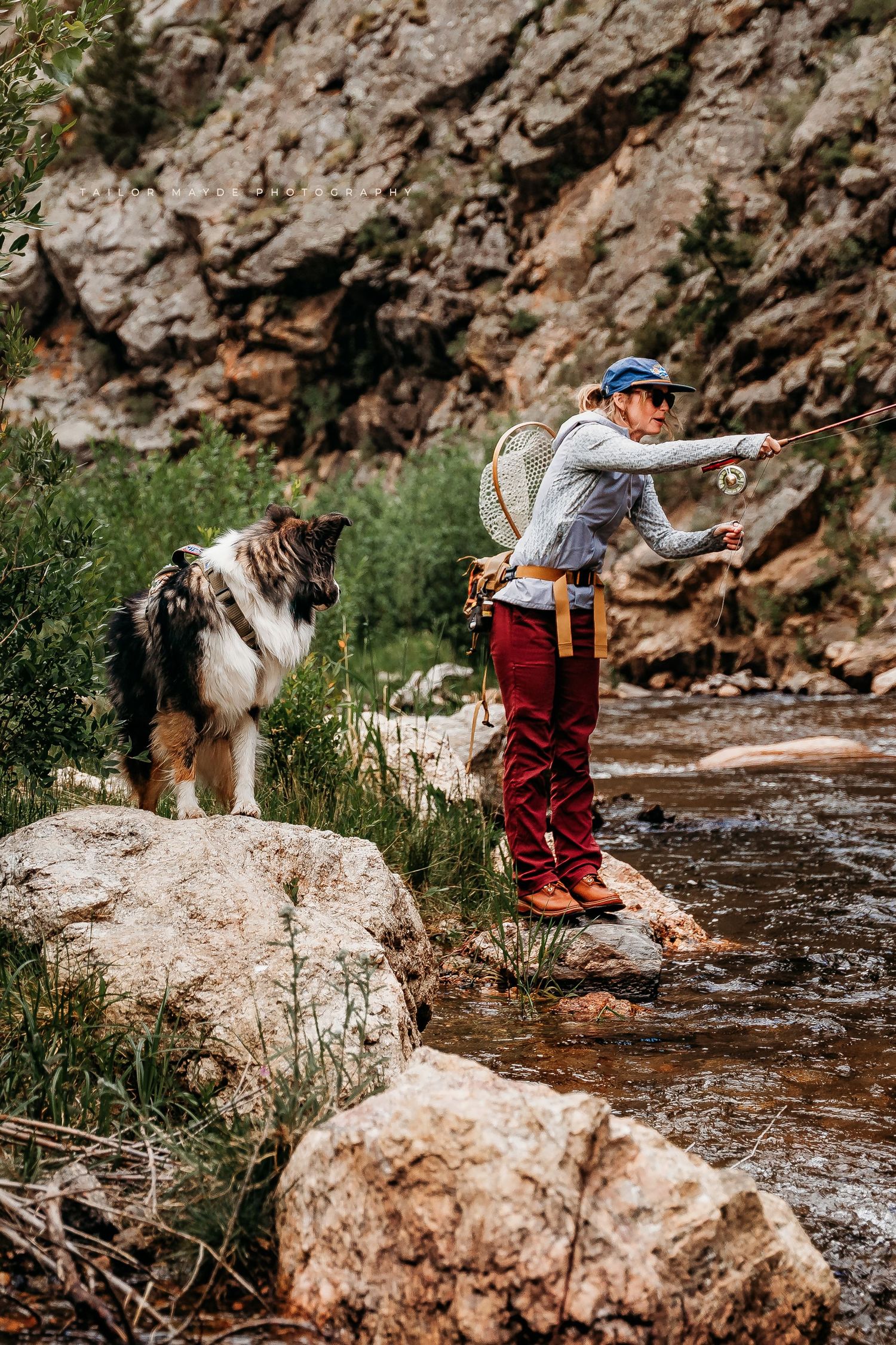 Woman fly fishing in a rocky mountain stream with her border collie dog standing on boulders nearby.