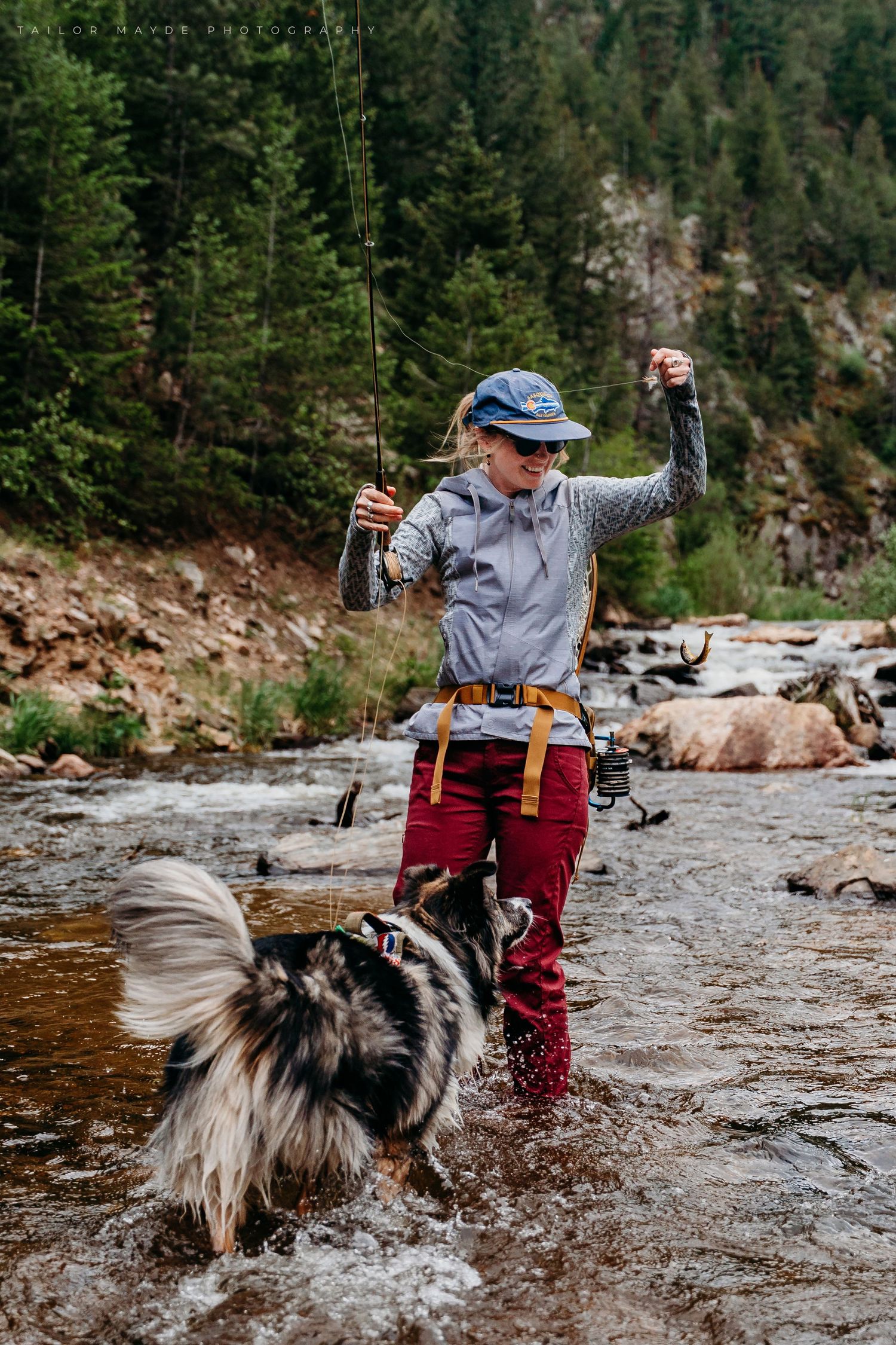 Woman fly fishing in a rocky mountain stream with a fluffy dog splashing beside her in the water.