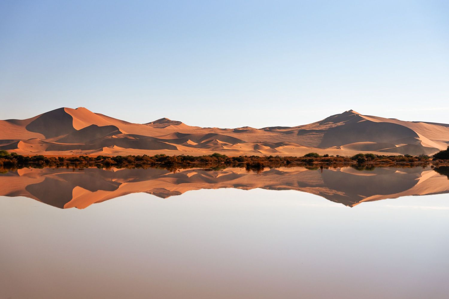 reflet des dunes de sossusvlei dans une étendue d'eau en namibie
