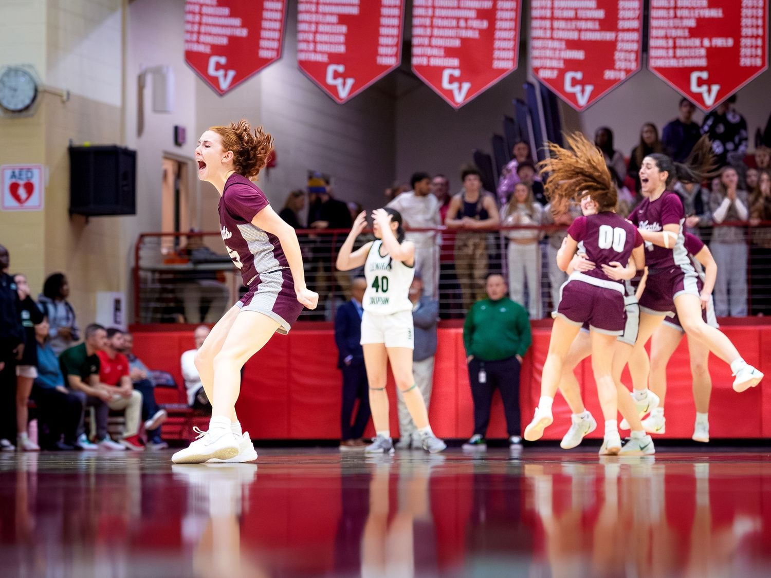 Mechanicsburg girls celebrate win against Central Dauphin, Mid-Penn championship, by Deanna Fox, SportsFox Photography based in Hershey PA