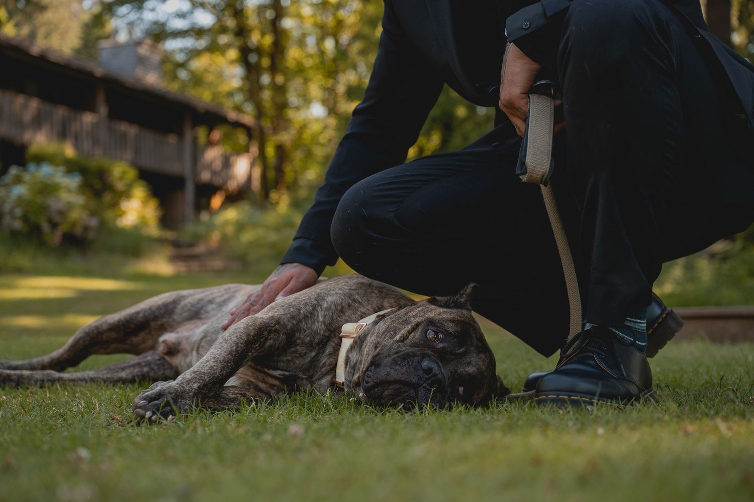 A groom pets his dog as they relax on a grassy lawn.
