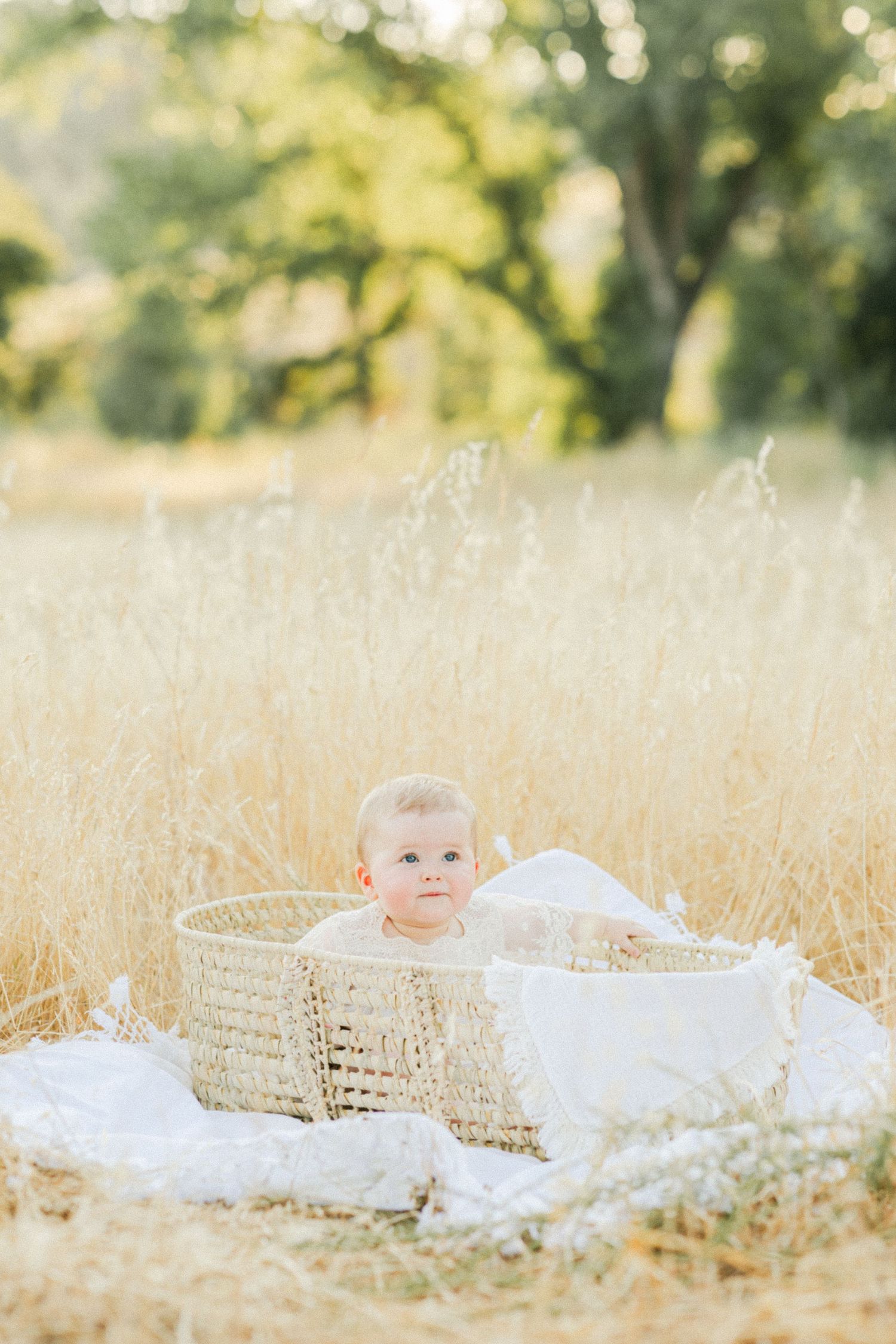Baby sitting in a wicker basket surrounded by golden grass in a sunlit outdoor field.