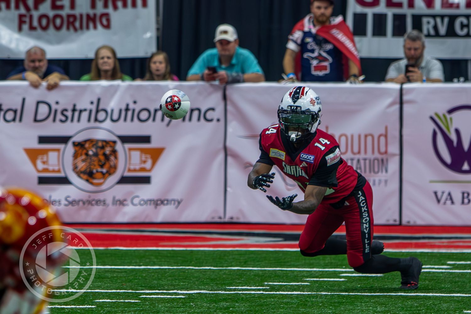 Jacksonville Sharks