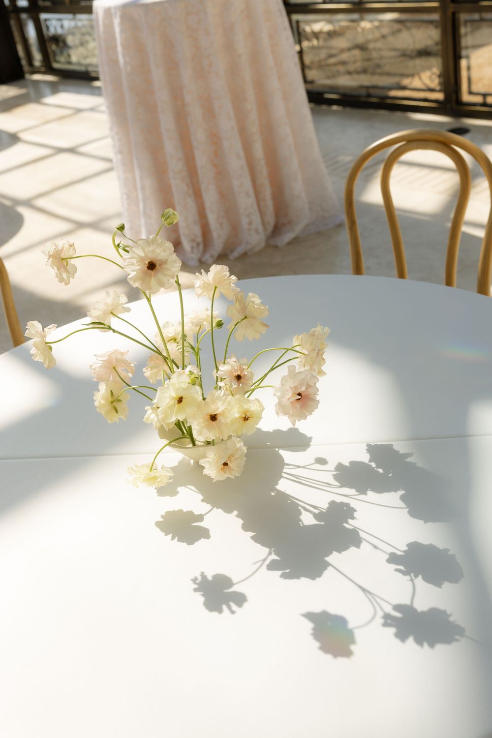 White cosmos flowers in a vase cast delicate shadows on a round white table at an elegant outdoor event.