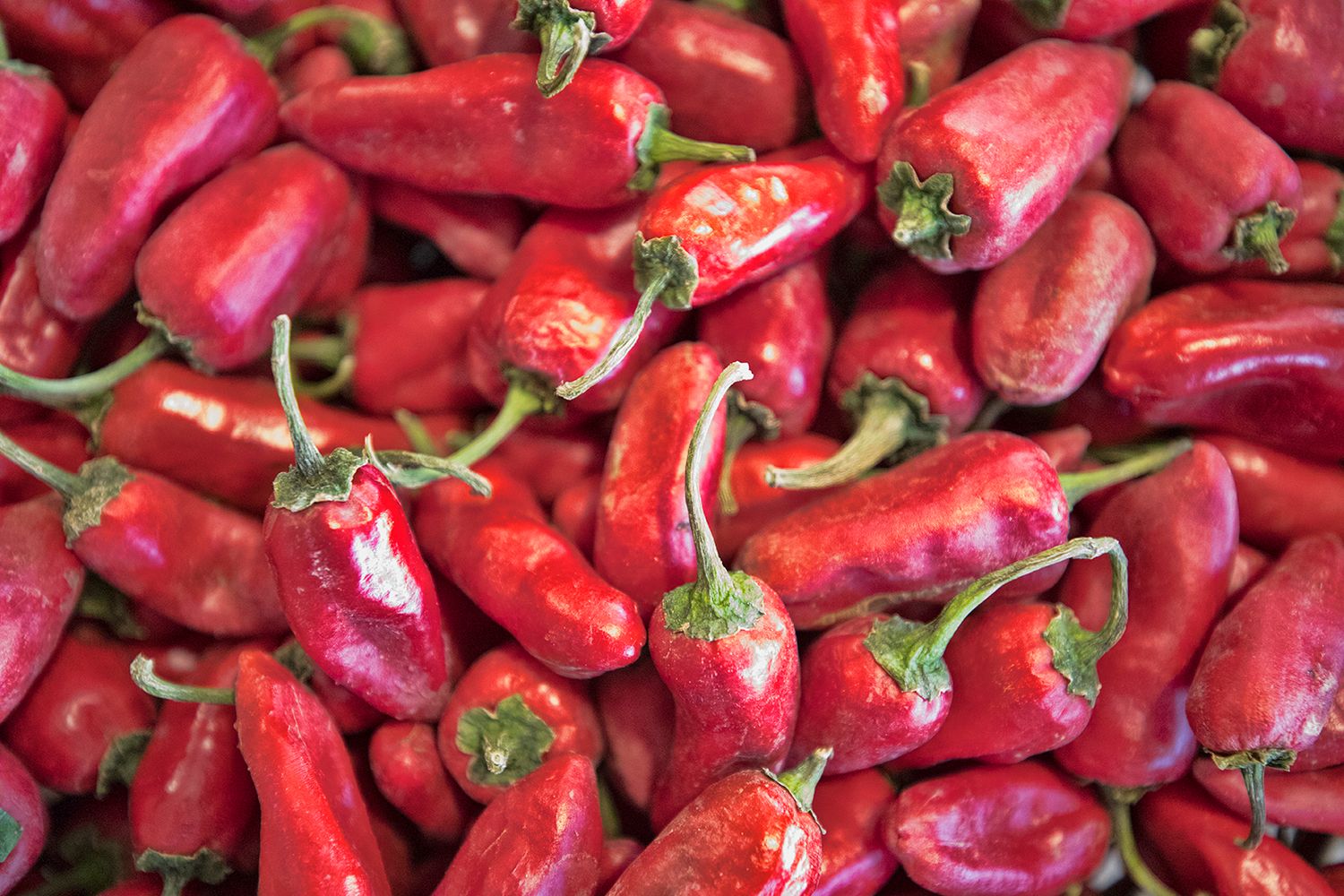 Pile of fresh red chili peppers with green stems at a market.