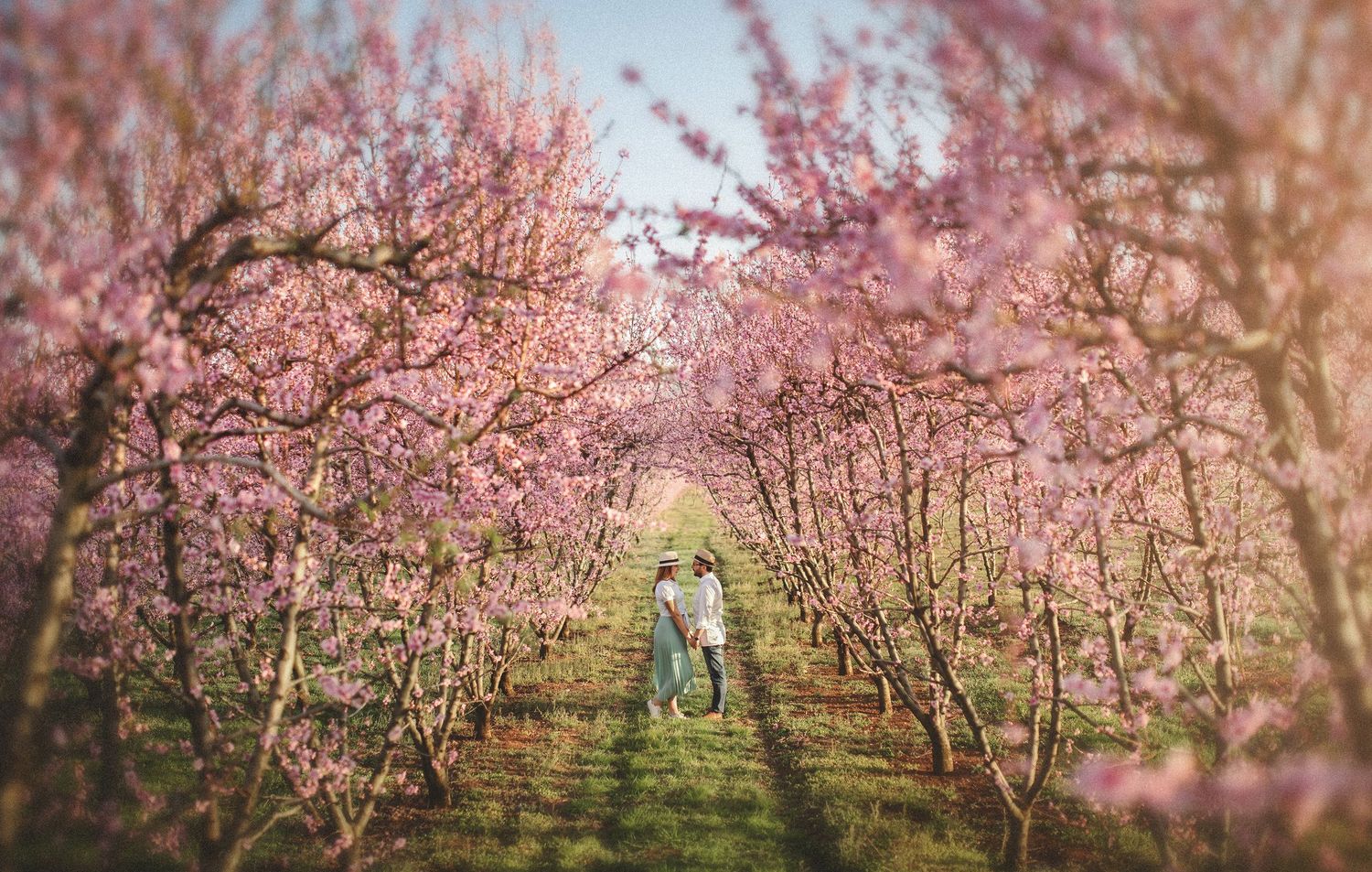 Cinematic fine art couple portrait surrounded by blossoming trees with a moody film look.