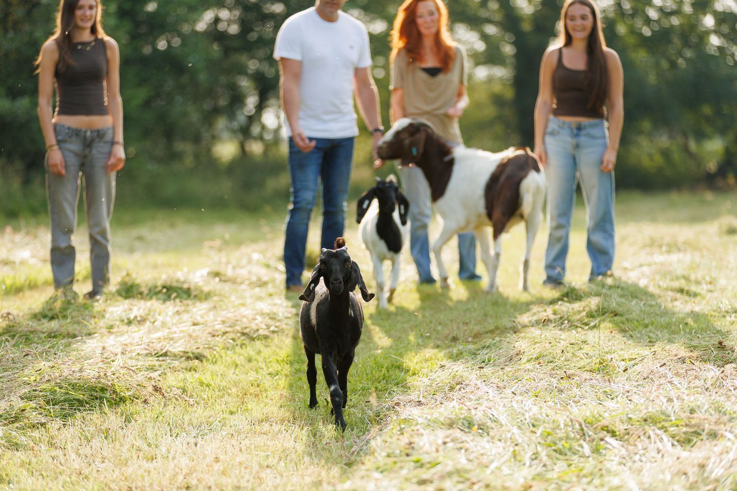 Three brown horses stand in a sunlit autumn meadow with someone in an emerald green dress beside them.