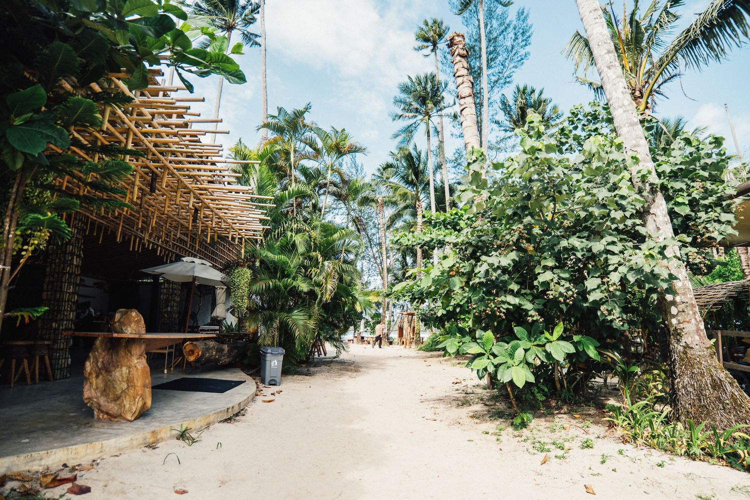 Tropical beach with tall palm trees and lush green foliage on white sand under a partly cloudy sky.