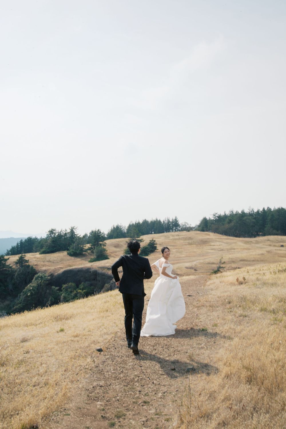 Bride in white gown and groom in black suit walk through golden hillside meadow with evergreen trees backdrop.